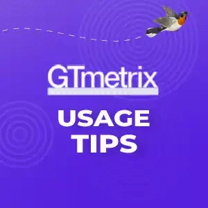 GTmetrix usage tips