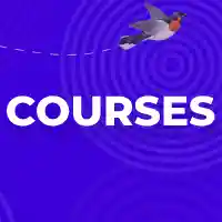 online training courses