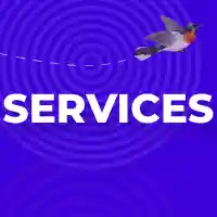 page speed services