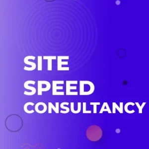 site speed consultancy